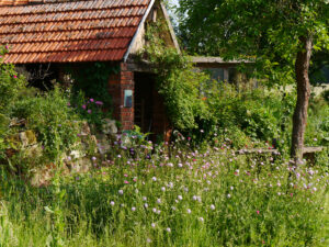 Jörg Diebels Naturgarten am Vogelsberg, Steinhäuschen neben dem Teich