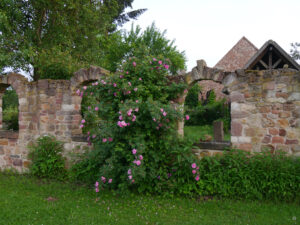 Jörg Diebels Naturgarten am Vogelsberg, der Ruinengarten