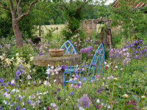 Jörg Diebels Naturgarten am Vogelsberg, im Akeleienmeer