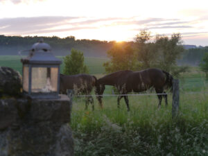 Jörg Diebels Naturgarten am Vogelsberg, Abendstimmung mit untergehender Sonne