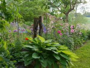 Vor dem Akeleiengarten bei Jörg Diebel in Alsfeld