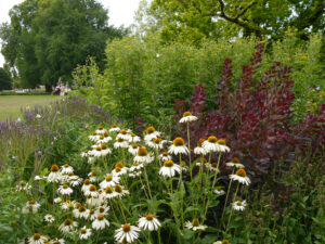 Staudenpflanzungen und Mixed-Border in der Stuttgarter Wilhelma 