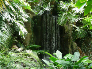 Wasserfall im Amazonashaus in der Stuttgarter Wilhelma