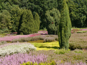 Heidegarten Schneverdingen
