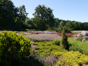 Heidegarten Schneverdingen