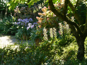Garten Christine und Horst Scheele