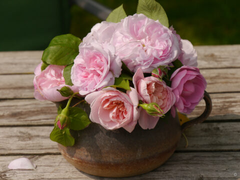 Tischschmuck mit Rosen