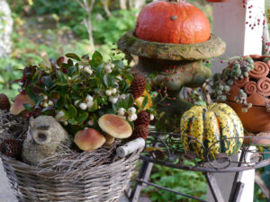 Herbstdekoration aus Wurzerlsgarten
