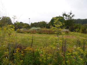 Gärtnerei Levkoje, Schaugarten hinten
