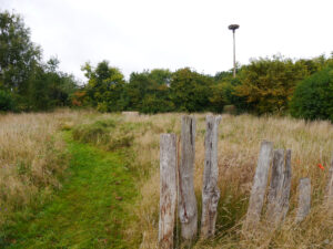 Gärtnerei Levkoje, Hanna Meyer, Gartenperipherie