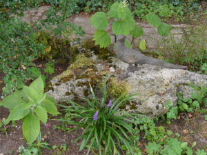 Schattenpflanzen unter den Birken in Wurzerlsgarten
