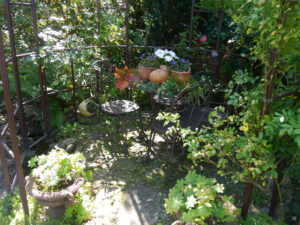 Herbstdeko in Wurzerlsgarten mit Kürbissen, Hagebutten, Efeu- und Wilden Weinranken, Bleiwurz, Gräsern und Chrysanthemen