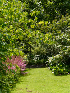 Auf dem Weg nach hinten in Weihenstephan