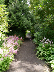 Ein Waldweg in Weihenstephan