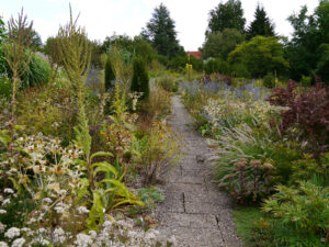 Schmale Wege durchziehen die Gartenteile von Weihenstephan.