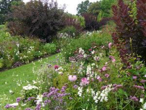 Das Purpur-Doppelborder in Weihenstephan