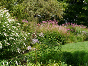 Der Gehölzrand in Weihenstephan