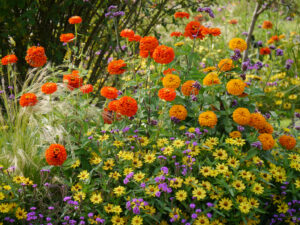 Buntes Beet in Weihenstephan