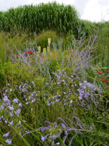 Im Sichtungsgarten Weihenstephan