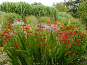 Im Sichtungsgarten Weihenstephan