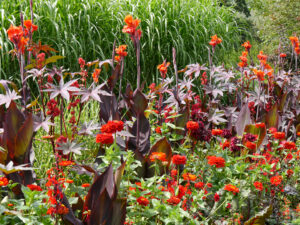 Das große rote Doppelborder in Weihenstephan