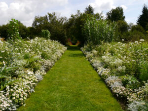 Das große weiße Doppelborder in Weihenstephan
