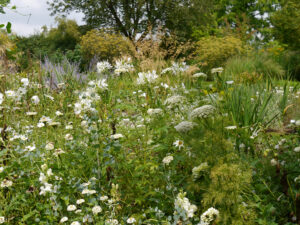 Das große weiße Doppelborder in Weihenstephan
