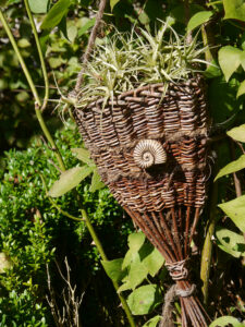 Weidengeflecht mit Tillandsien im Garten Inge Feckl