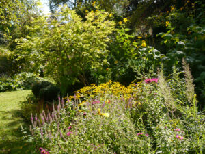 Unterwegs im Garten Inge Feckl