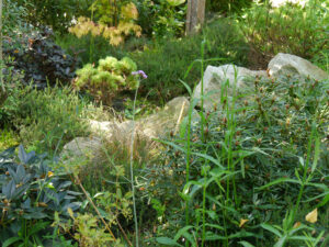 Peripherie im Garten Inge Feckl