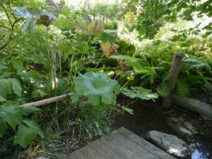 Der Bachsteg im Garten Feckl