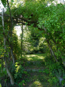 Durchgang vom Rasenweg zur Obstwiese