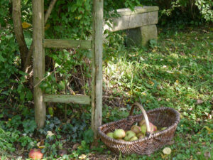 Die steinerne Bank unter dem Apfelbaum von Inge Feckl