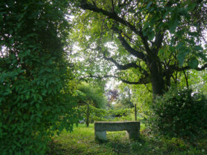 Die steinerne Bank unter dem Apfelbaum von Inge Feckl