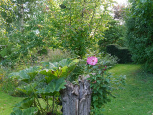Die zweite Sichtachse im hinteren Garten von Inge Feckl