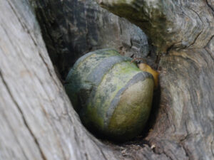 Holz und Stein, natürliche Dekoration im Garten Feckl