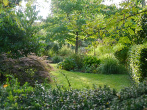 Der Wiesenweg mäandert durch den ganzen Garten bei Inge Feckl.