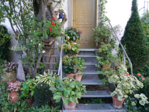 Begrünter Treppenaufgang im Garten Inge Feckl