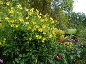 Im hinteren Bauerngartenteil von Inge Feckl