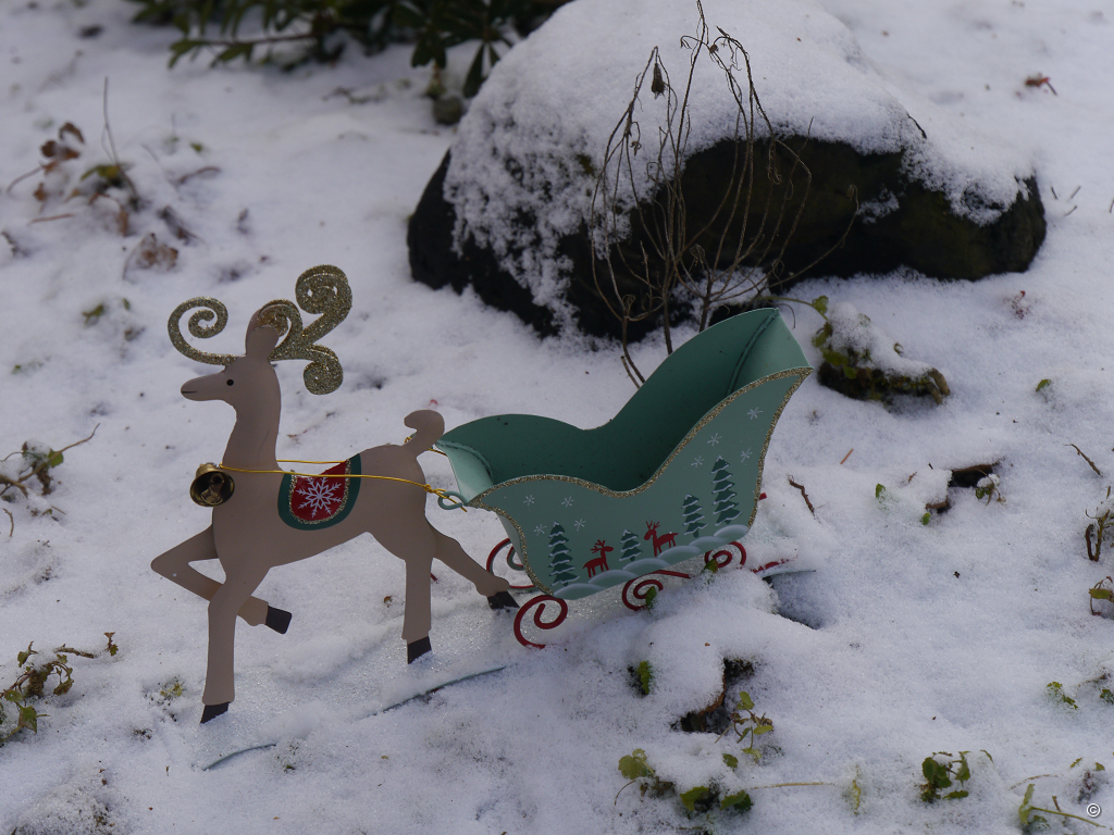 Der kleine Wunschschlitten für die Rauhnächte in Wurzerlsgarten