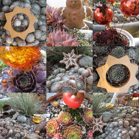 Die weihnachtliche Wurzerlküche auf der Terrasse