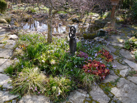 Das Frühlingsbeet mit dem japanischen Fächerahorn in Wurzerlsgarten