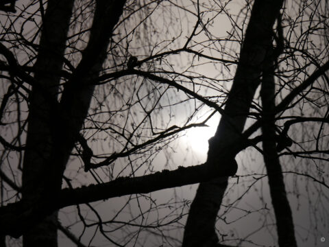 Winterhimmel Ende Februar 26
