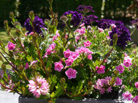 Tischschmuck im Skulpturengarten "Tuinfleur".