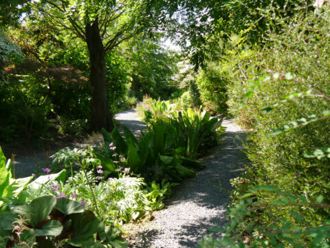 Im Mäandergarten von Tuinfleur bei Rika van Delden.