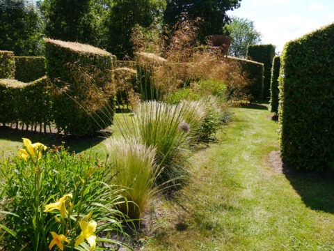 Gräserband im neuen Deichgarten von Tuinfleur.