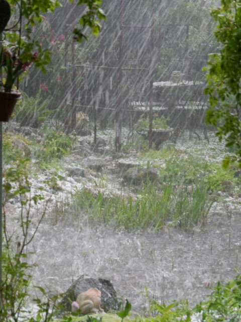 Es hagelt um 17 Uhr in Wurzerlsgarten