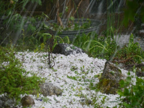 Der Steingarten in Wurzerlsgarten