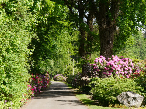 Viele Wege in Privatgärten öffnen sich zur 25. Dötlinger GartenKultour