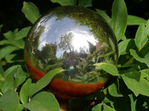 Spiegelbild und Rosenkugeln-Selfies liebe ich sehr.